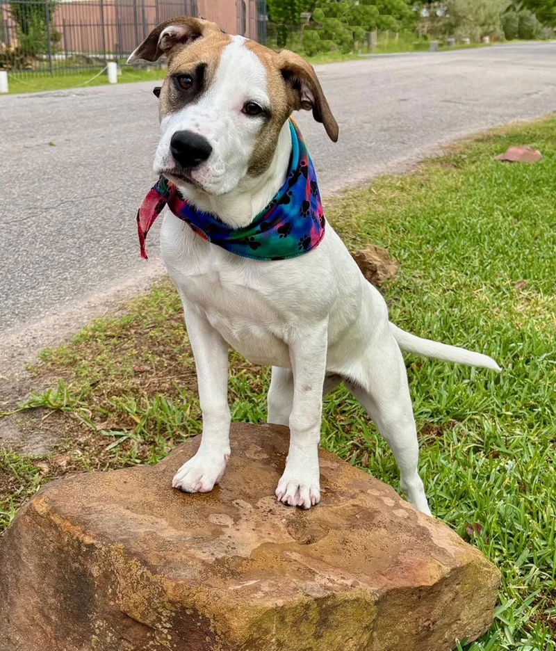 Ginny  Loveable Girl thumbnail 5