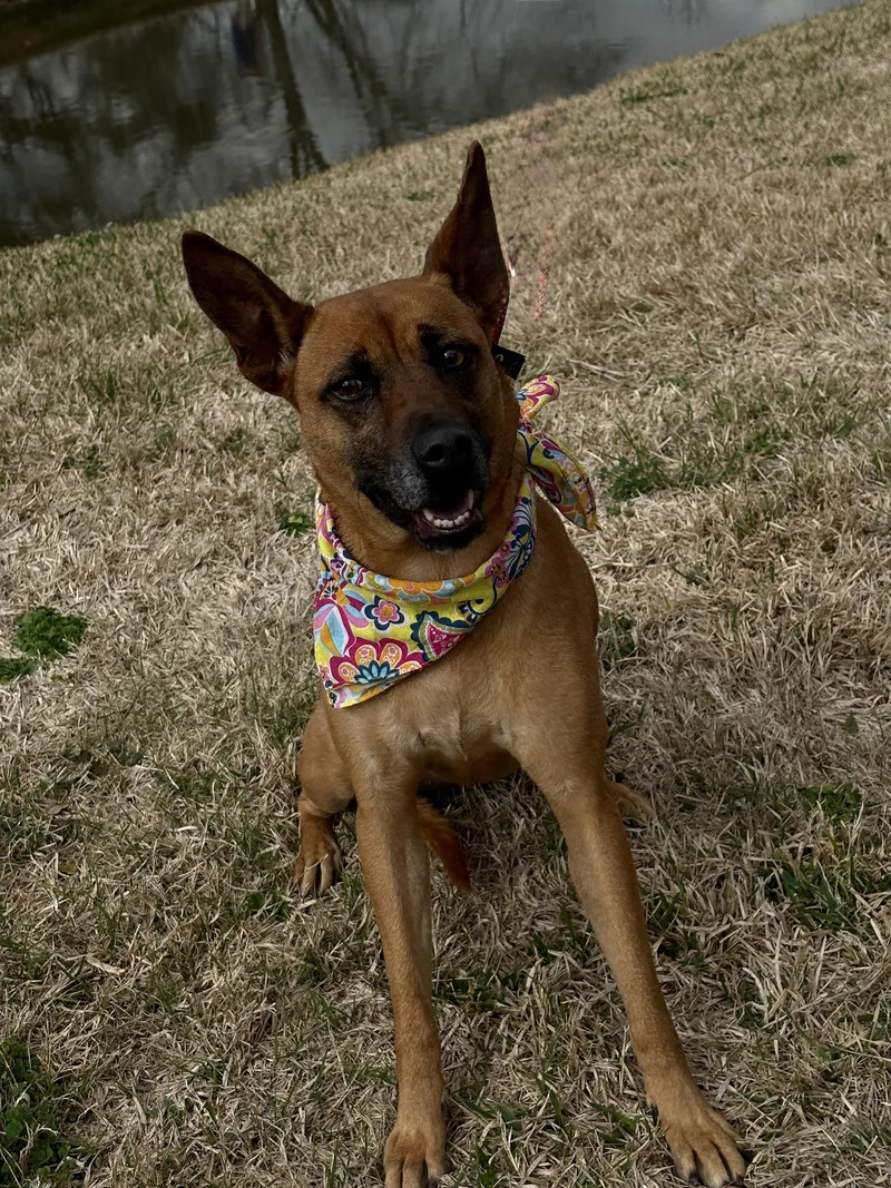 Xen Extra Special! thumbnail 4