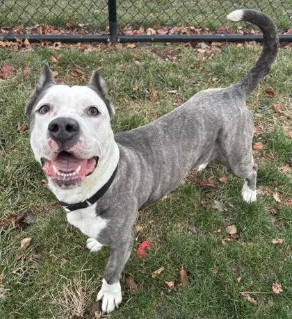 Betty Deville thumbnail 2