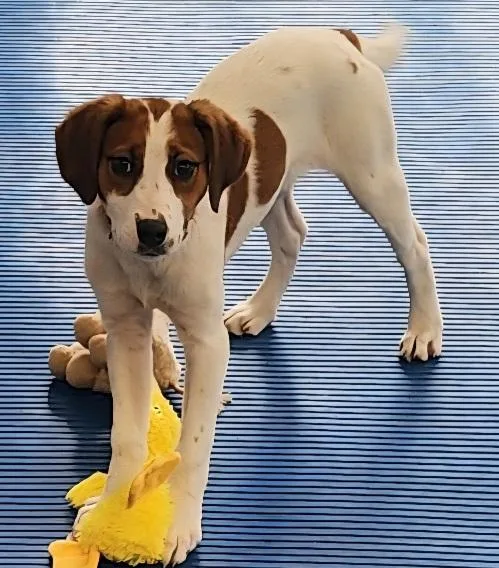 Juliette thumbnail 2