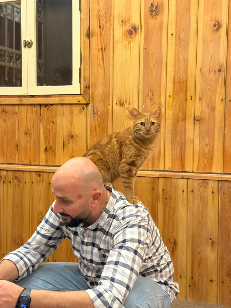 Mishmish The Cuddliest