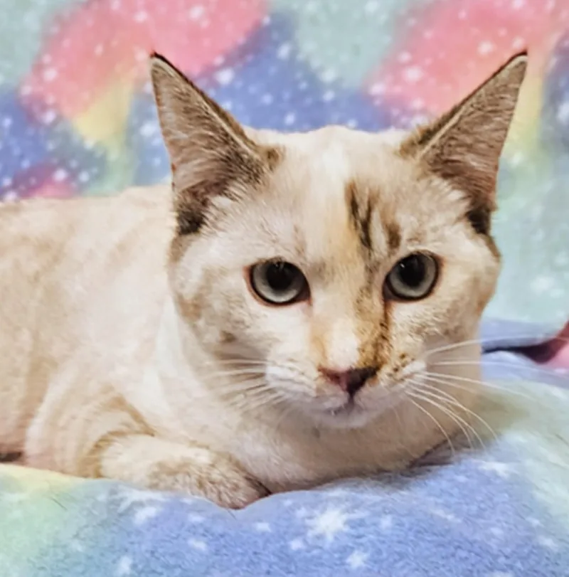 Cali  Rancho Cucamonga thumbnail 3