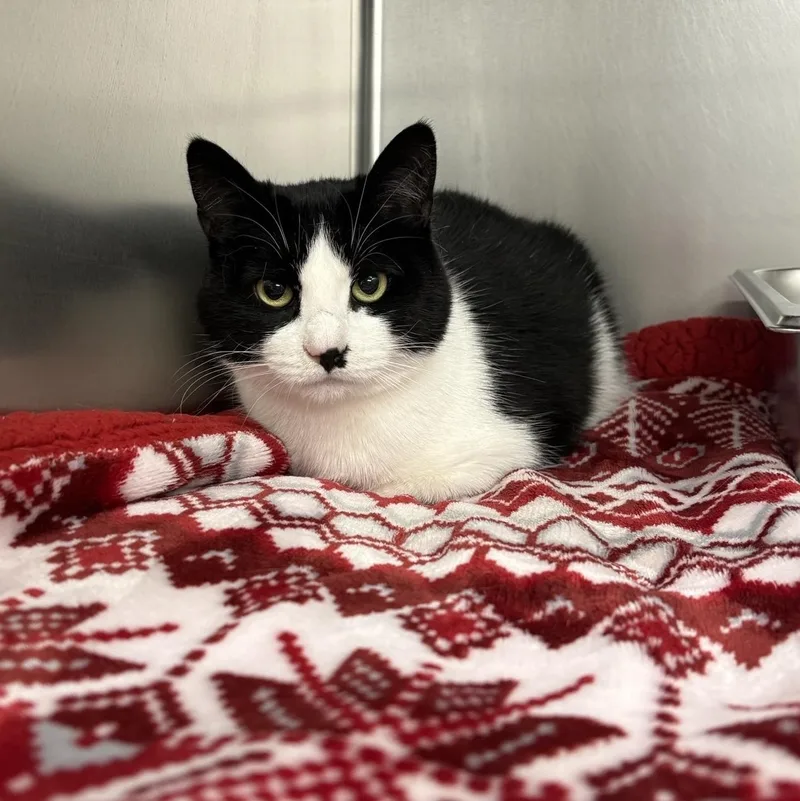 Fortnite thumbnail 2