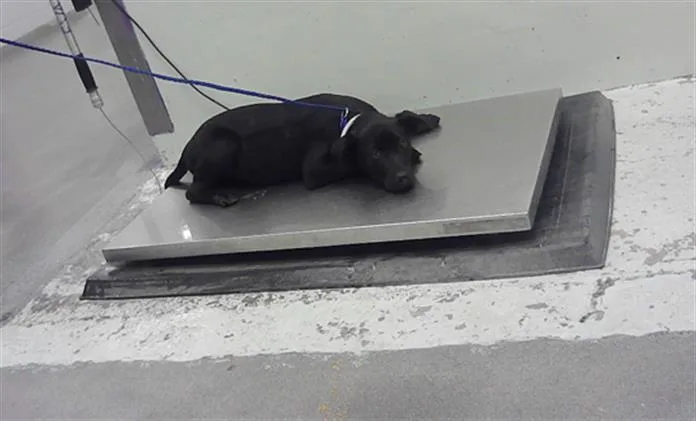 Ellery Marie photo 1