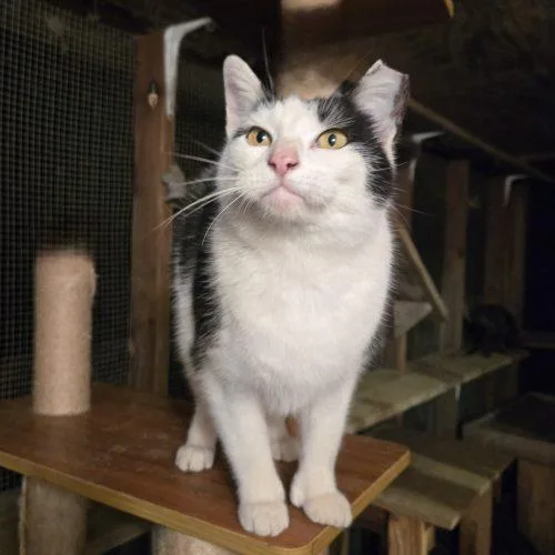 Martinez thumbnail 2