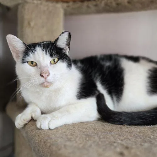 Martinez thumbnail 3