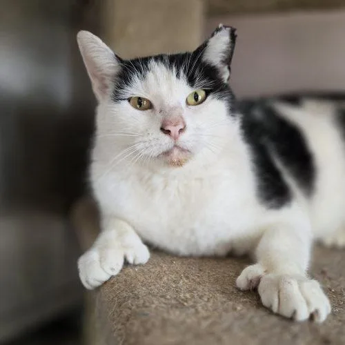 Martinez thumbnail 4