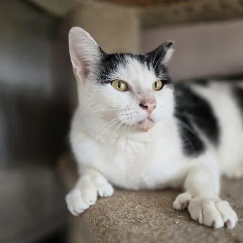 Martinez thumbnail 5