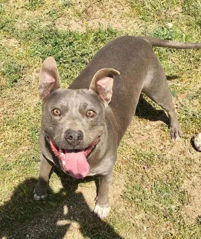 Cordelia thumbnail 2