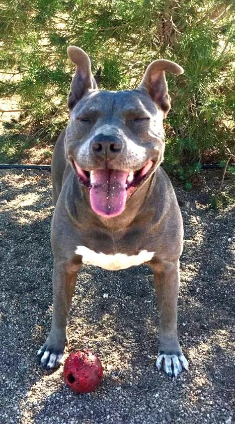 Cordelia thumbnail 3