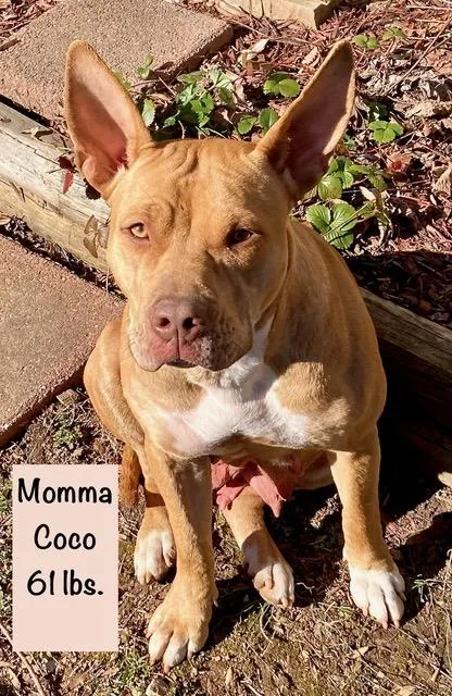 Patron Spirits  Local thumbnail 4