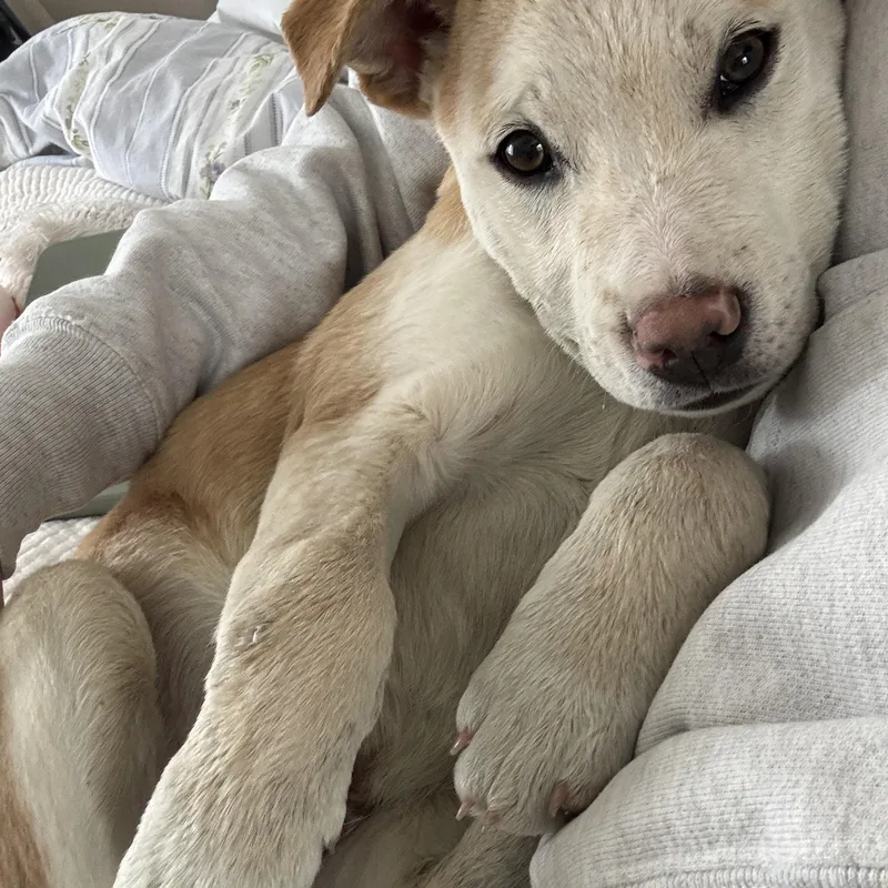 Patron Spirits  Local thumbnail 5