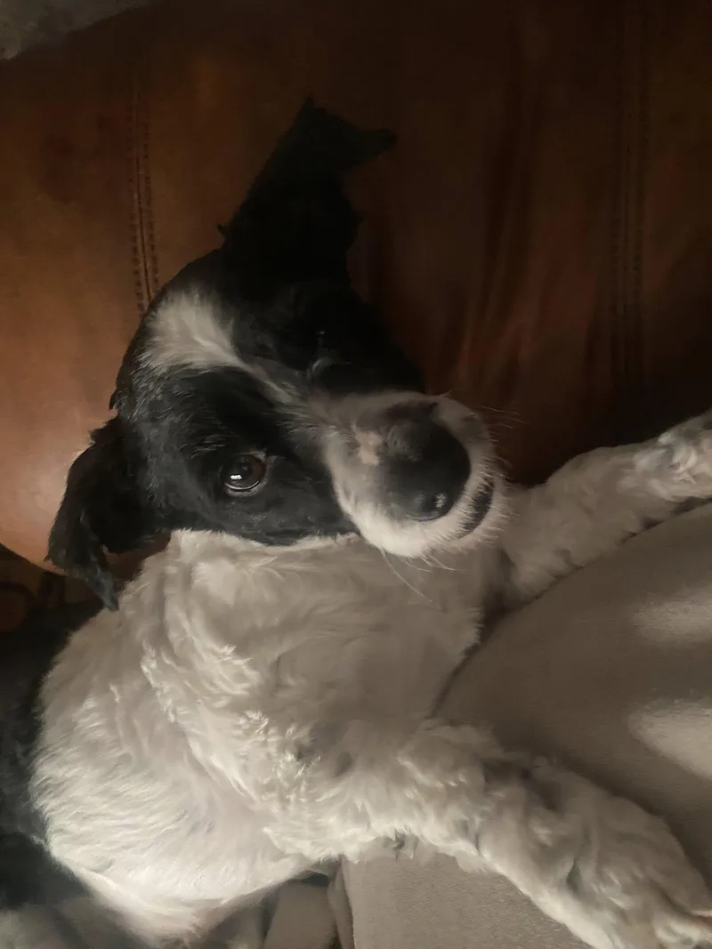 Geoffery thumbnail 2