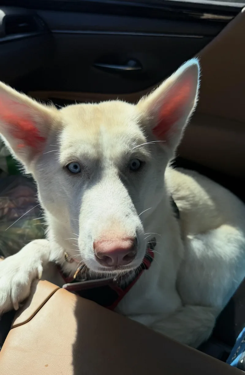 Peachie Keen thumbnail 3