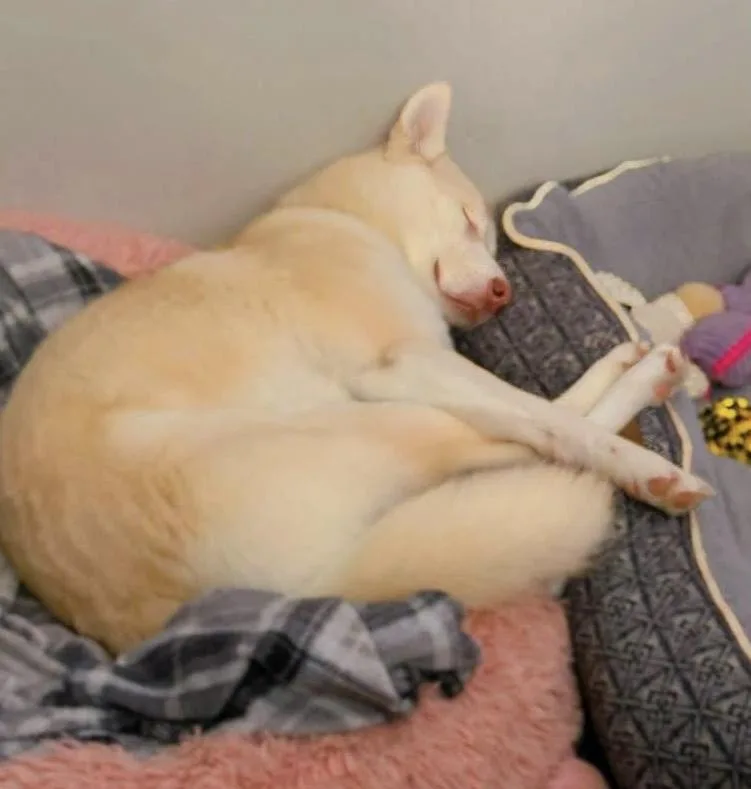 Peachie Keen thumbnail 4