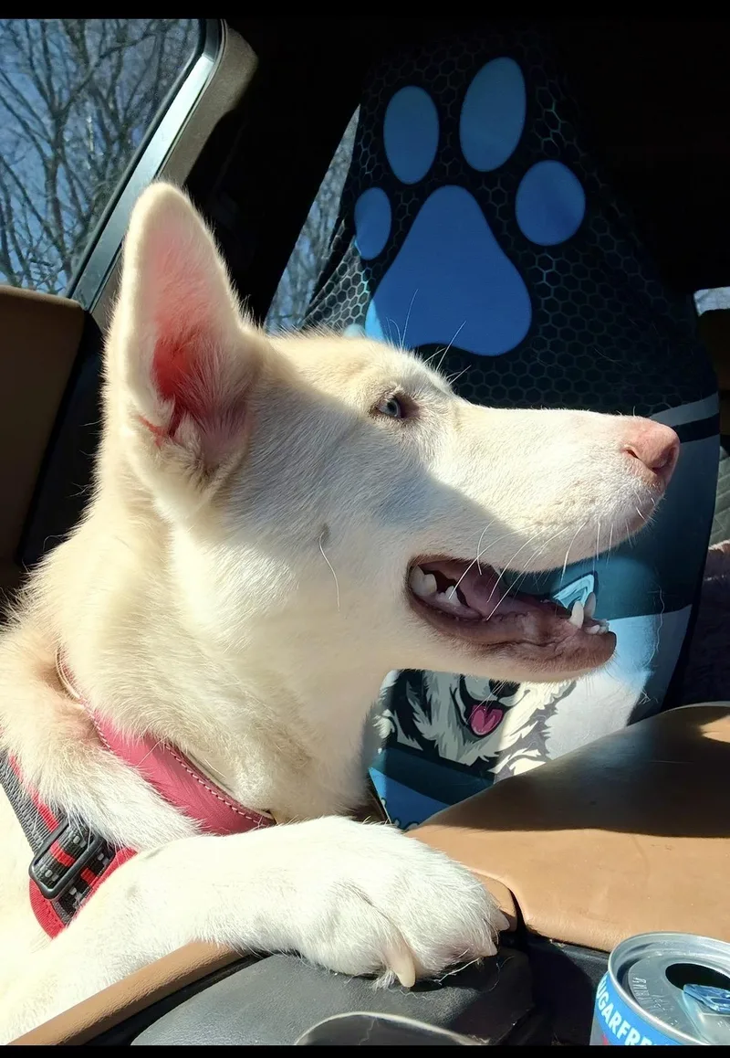 Peachie Keen thumbnail 5