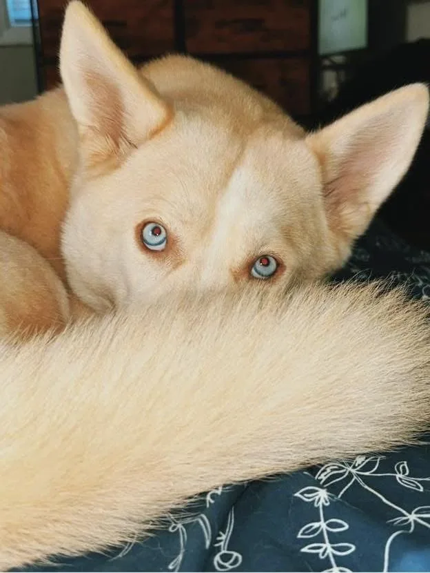 Peachie Keen thumbnail 6