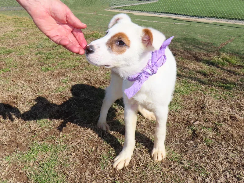 Logan  C thumbnail 4