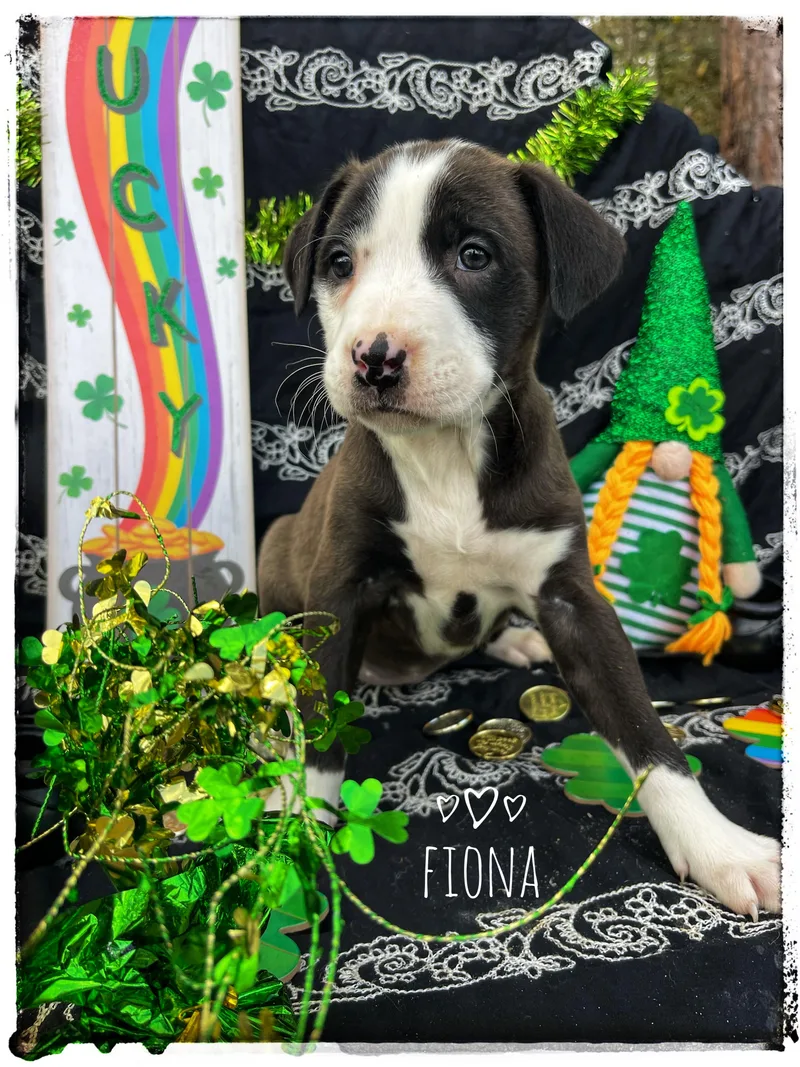 Fiona