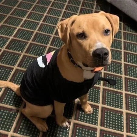 Claiborne thumbnail 2