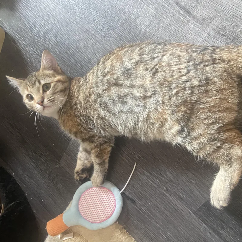 Cowboy & Buttercup thumbnail 2