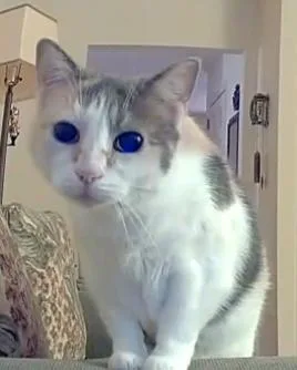 Violet &marlo thumbnail 2