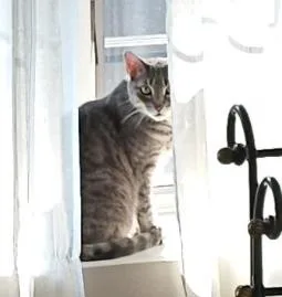 Violet &marlo thumbnail 3