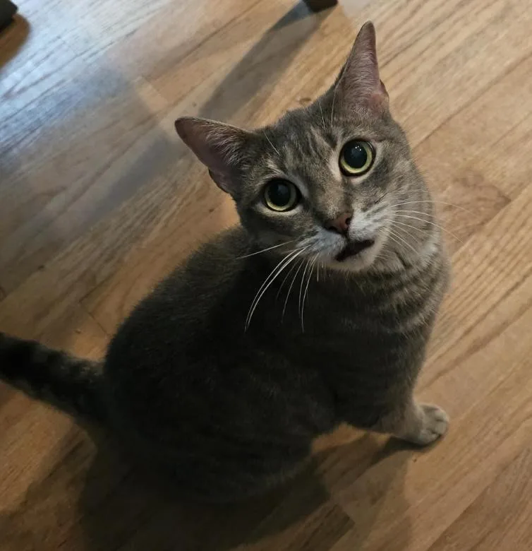 Violet &marlo thumbnail 4