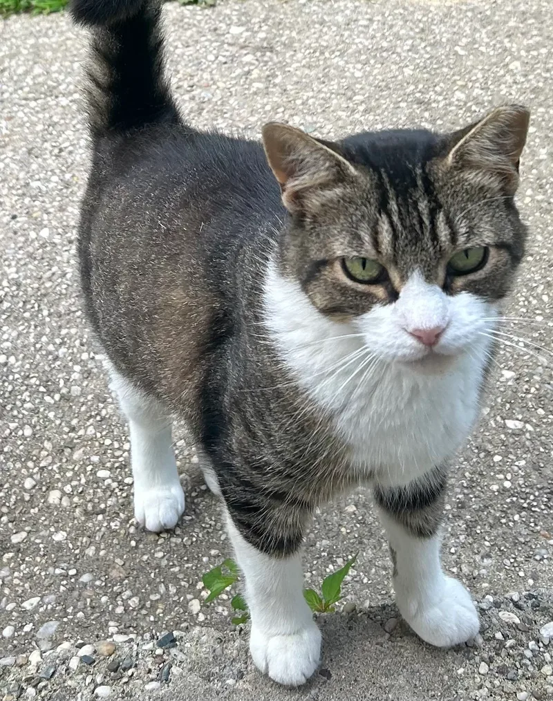 Little One thumbnail 2