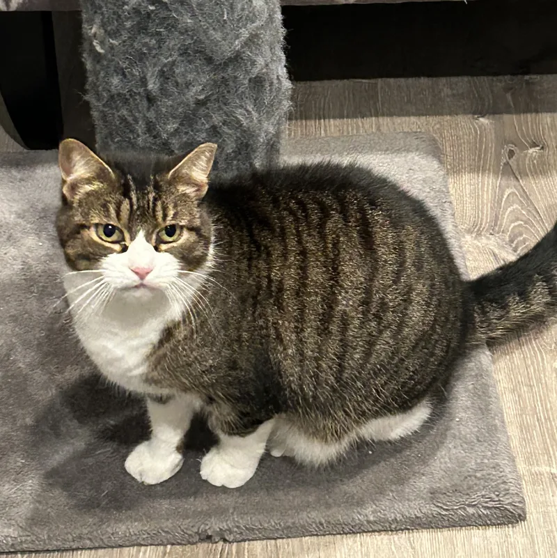 Little One thumbnail 3