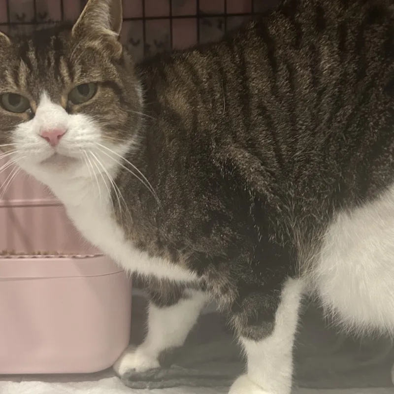 Little One thumbnail 5