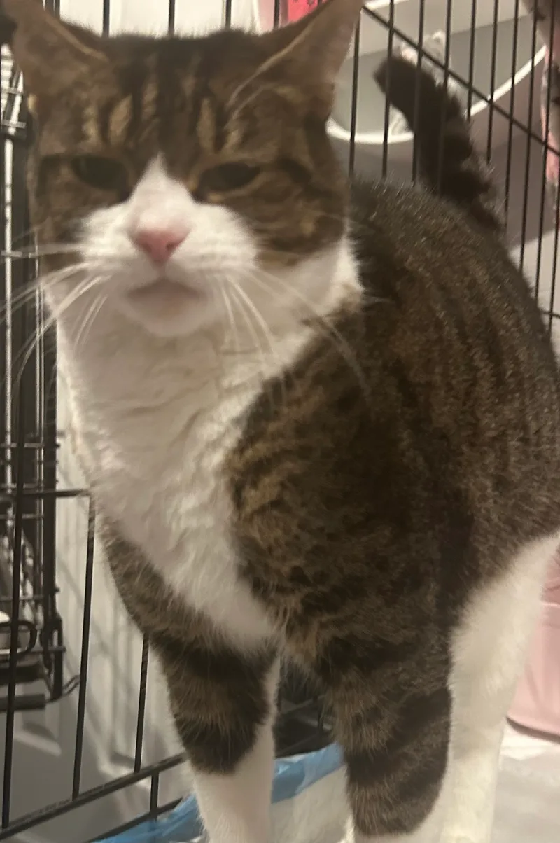 Little One thumbnail 6