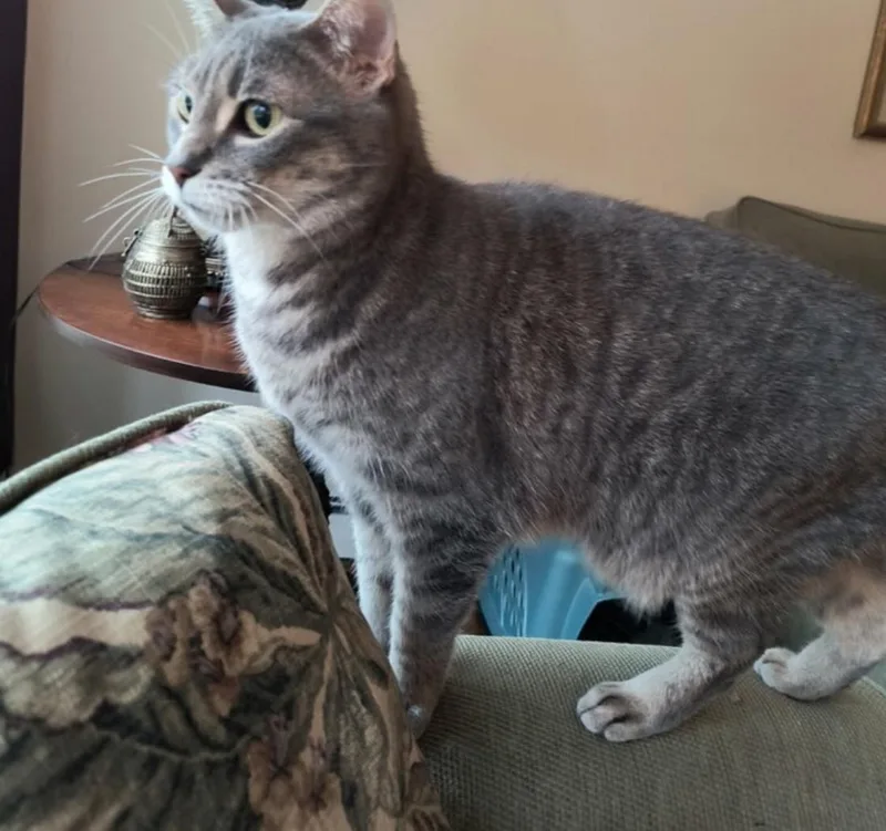 Marlo&violet thumbnail 3