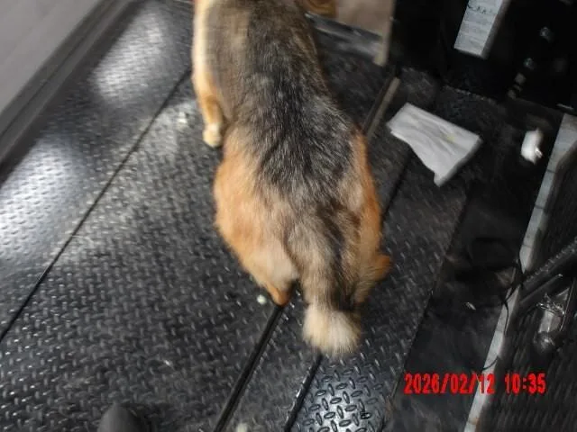 Mary Jane Watson thumbnail 3