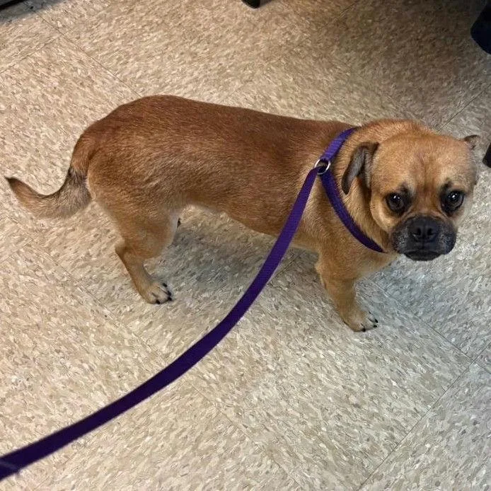 Morpheus thumbnail 4