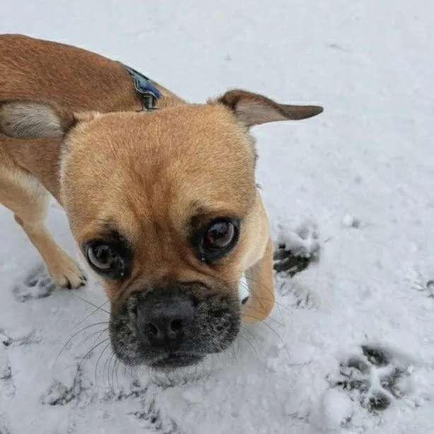 Morpheus thumbnail 5