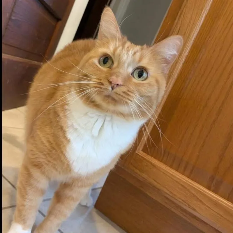 Hannah & Zoey thumbnail 2