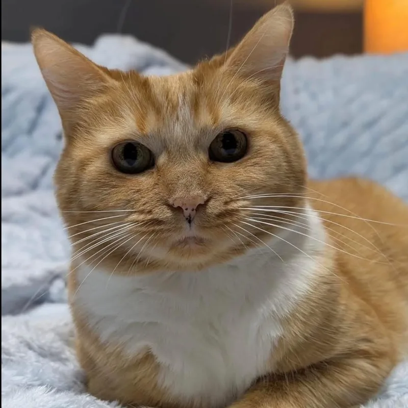 Hannah & Zoey thumbnail 3