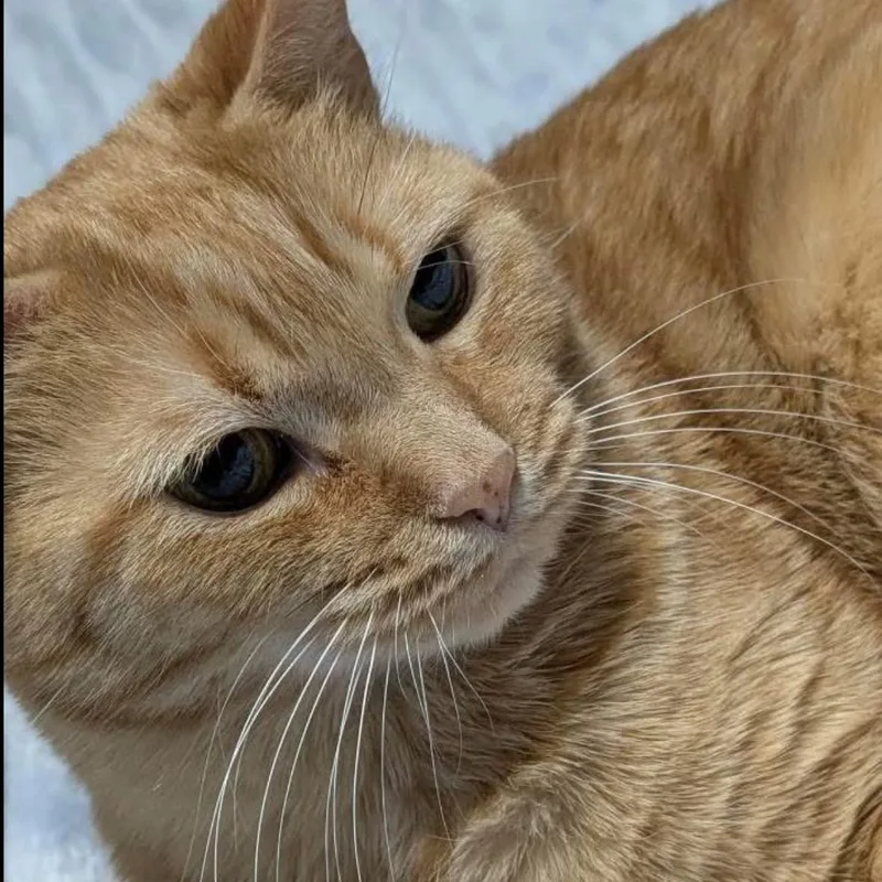 Hannah & Zoey thumbnail 4