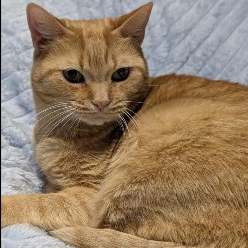 Hannah & Zoey thumbnail 5