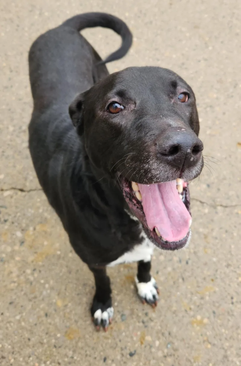 Slick Needs A Forever thumbnail 2