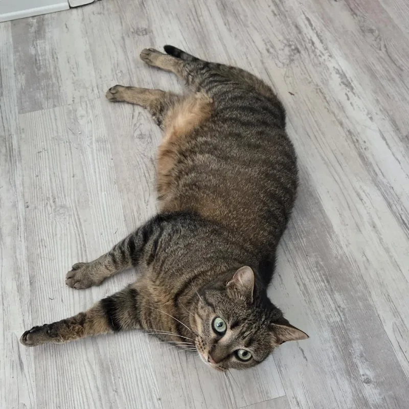 Winnie Rose thumbnail 2