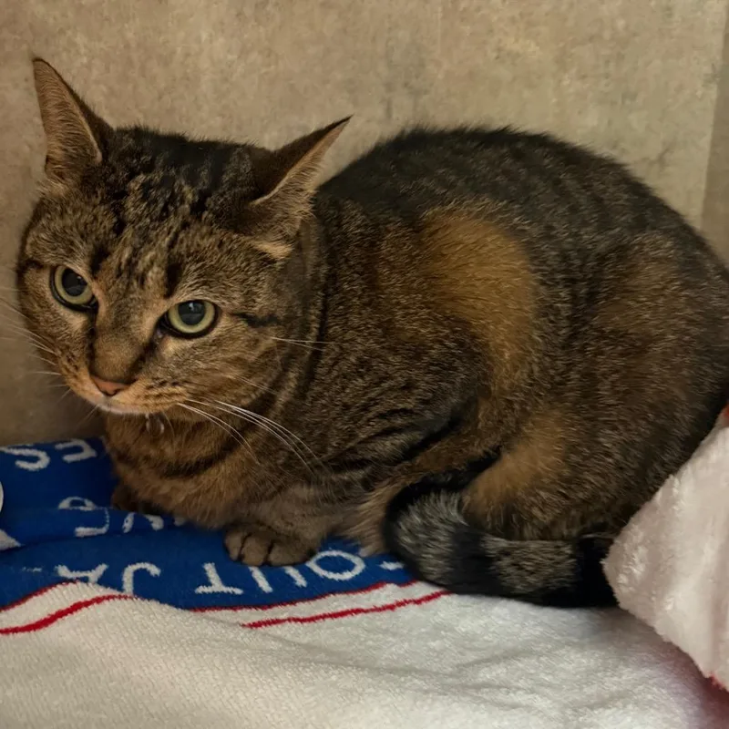 Winnie Rose thumbnail 3