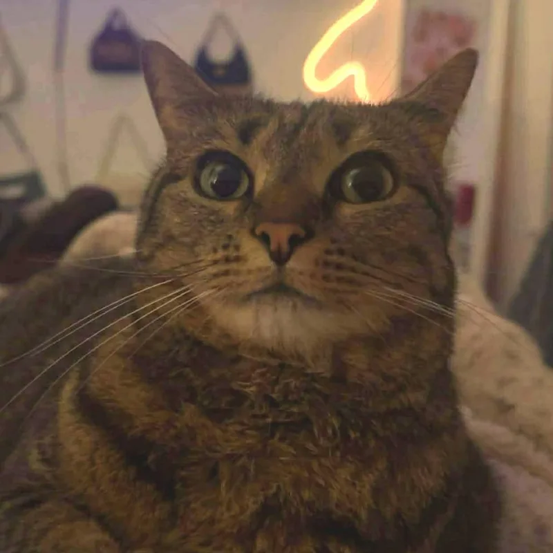 Winnie Rose thumbnail 4