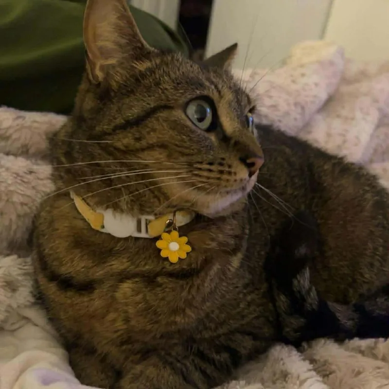 Winnie Rose thumbnail 5