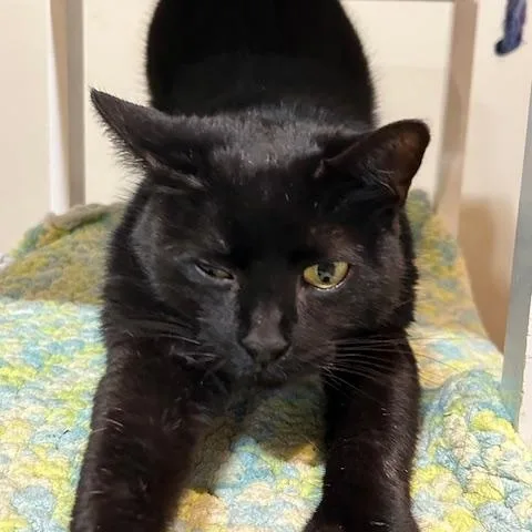 Polly Pocket thumbnail 2