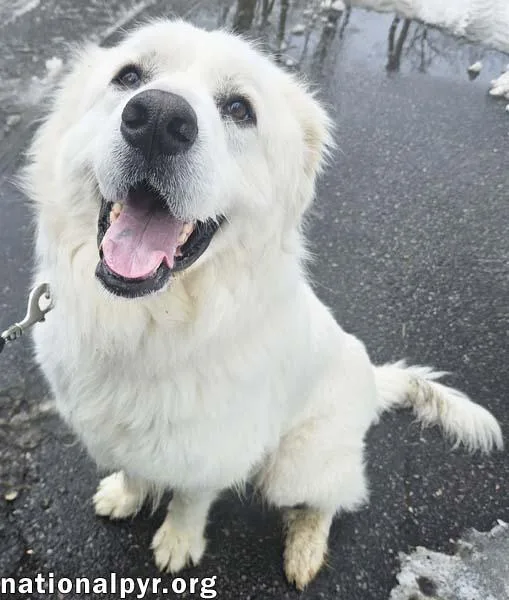 Gus In Nj  thumbnail 2