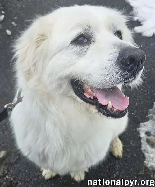 Gus In Nj  thumbnail 3