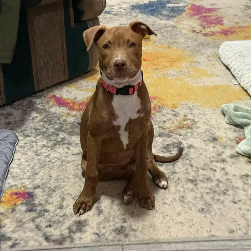 Miss Molly thumbnail 2