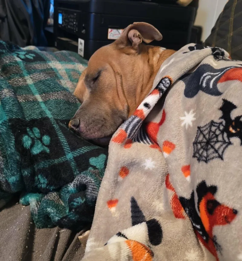 Caroline thumbnail 2